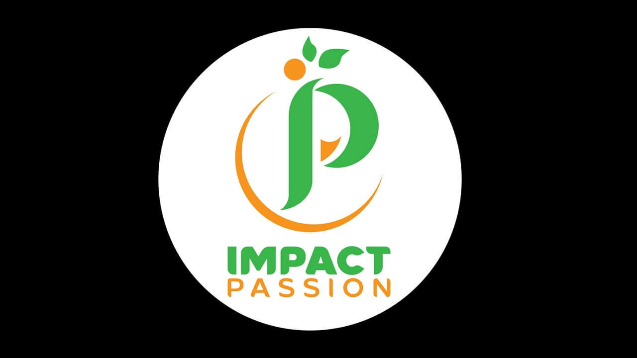 BrandApexMedia_Brand_Identity_Imapct-Passion1